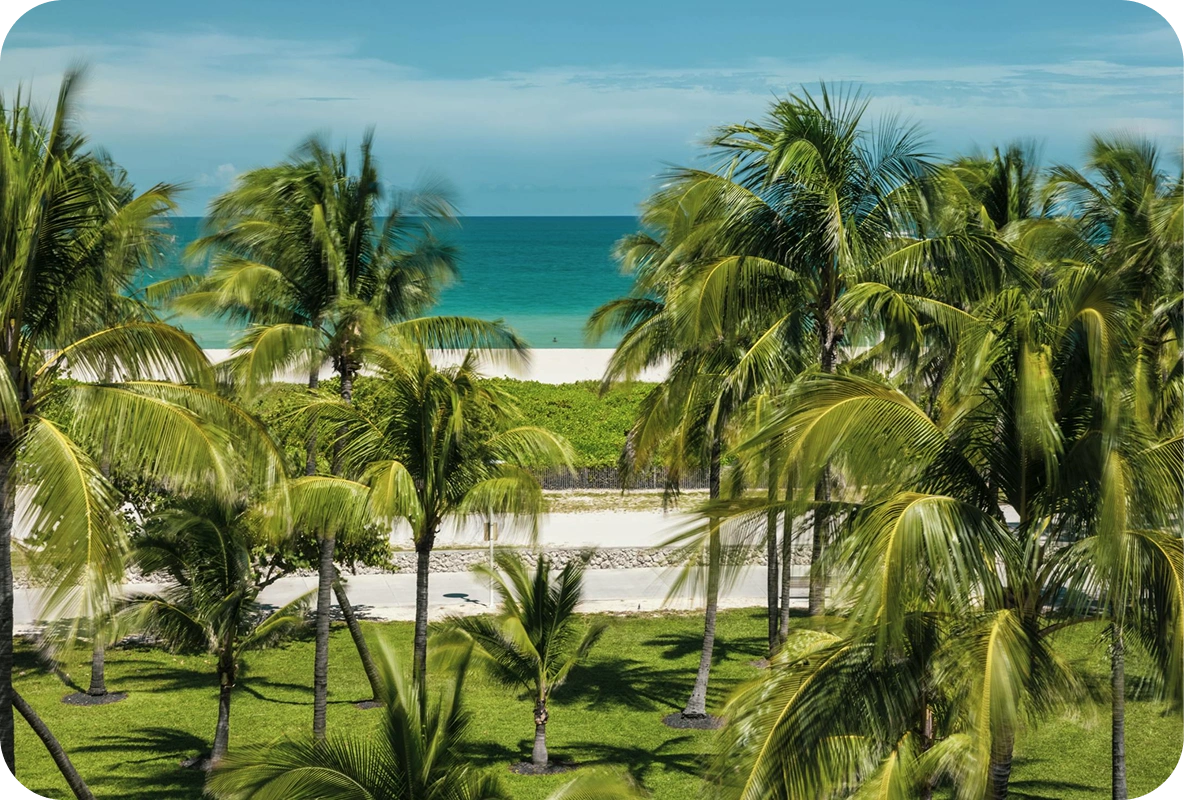 Jewelry Collateral Loan Florida